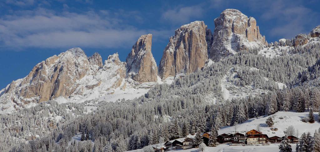 Appartamenti Ladina Campitello di Fassa Extérieur photo